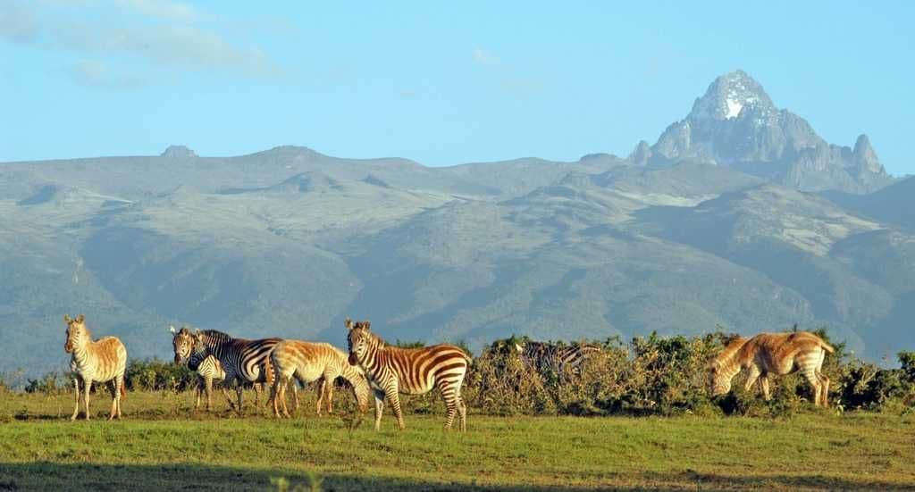 Nanyuki