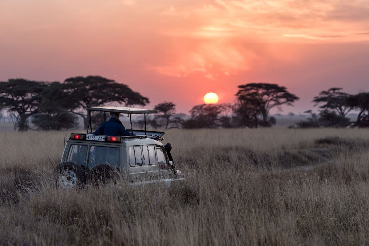 Safari image - tsavo-red-elephants